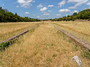 Vista della spina centrale del Circo di Massenzio.