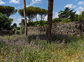 Scorcio di primavera nei pressi della Chiesa di San Nicola lungo l&rsquo;Appia Antica.