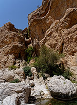 Scorcio nel Wadi Bani Khalid.
