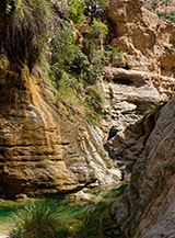 Il wadi si stringe in un lussureggiante canyon dove si formano svariati laghetti/piscine naturali (Wadi Mibam).