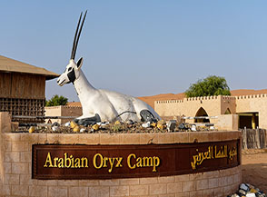Arabian Orix Camp nel Wahiba Sands.
