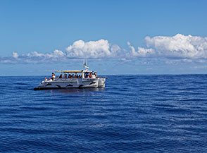 In navigazione per attivit&agrave; di whale watching al largo della costa di Saint Gilles les Bains.